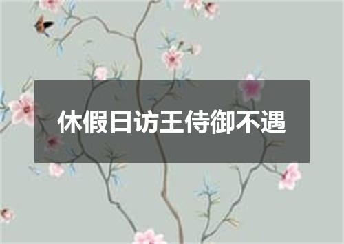 休假日访王侍御不遇