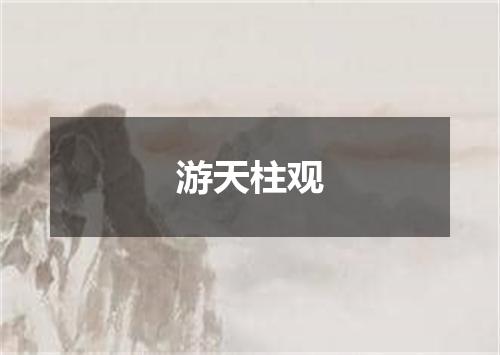 游天柱观