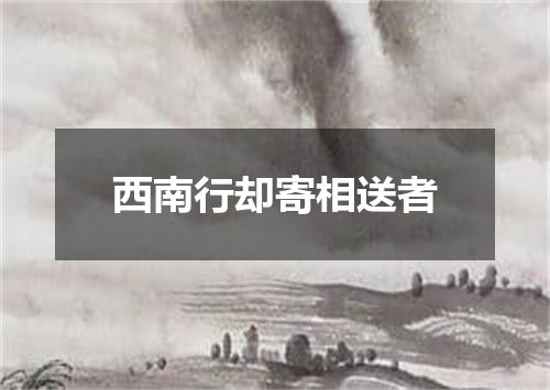 西南行却寄相送者