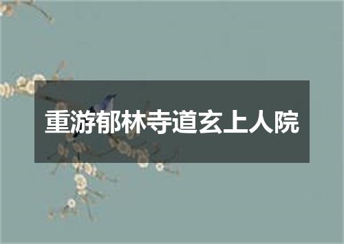 重游郁林寺道玄上人院