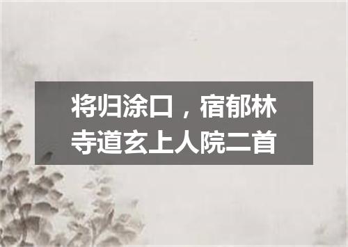 将归涂口，宿郁林寺道玄上人院二首