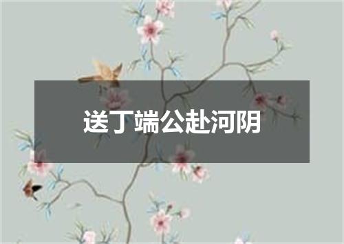 送丁端公赴河阴