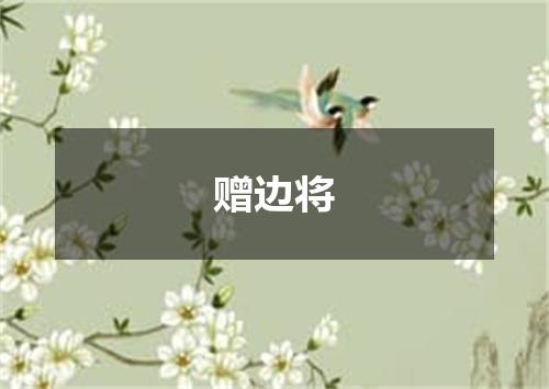 赠边将