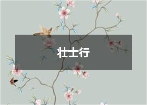 壮士行