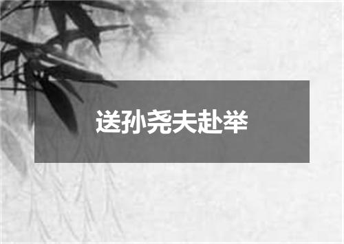 送孙尧夫赴举