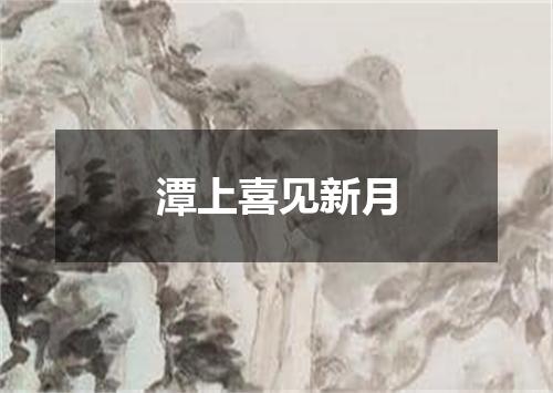潭上喜见新月