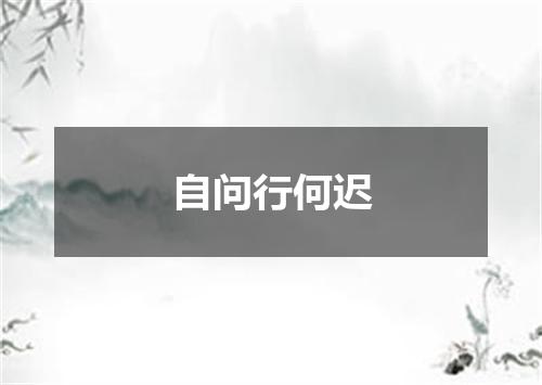自问行何迟