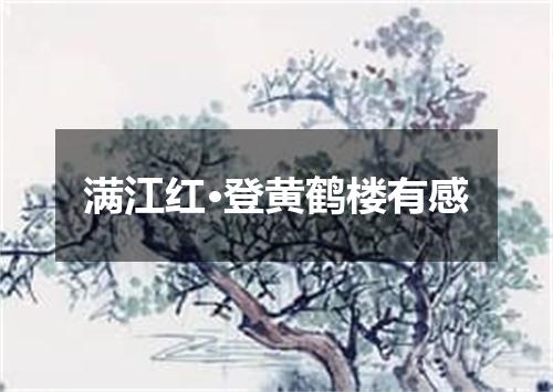 满江红·登黄鹤楼有感