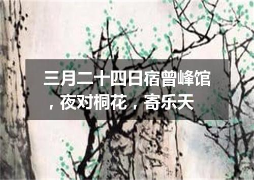 三月二十四日宿曾峰馆，夜对桐花，寄乐天