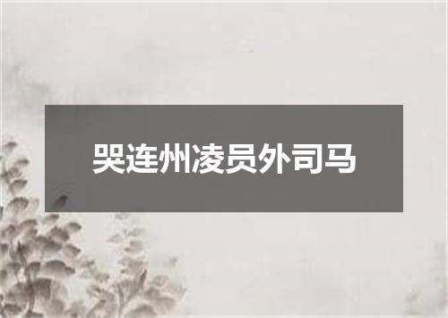 哭连州凌员外司马