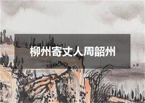 柳州寄丈人周韶州