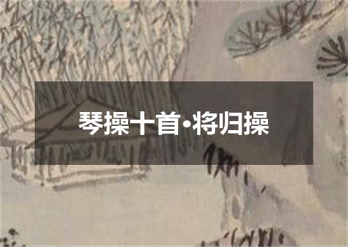 琴操十首·将归操