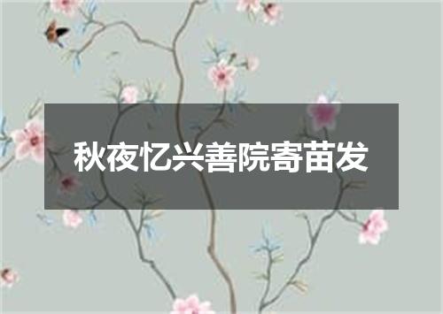 秋夜忆兴善院寄苗发