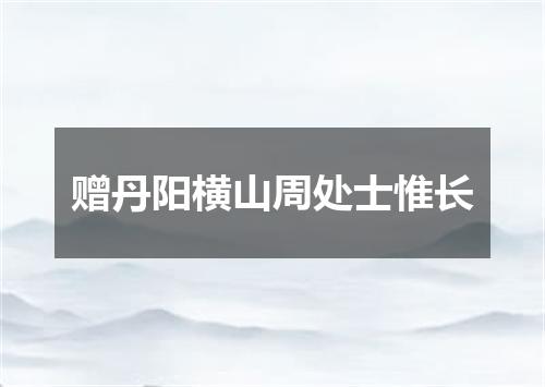 赠丹阳横山周处士惟长