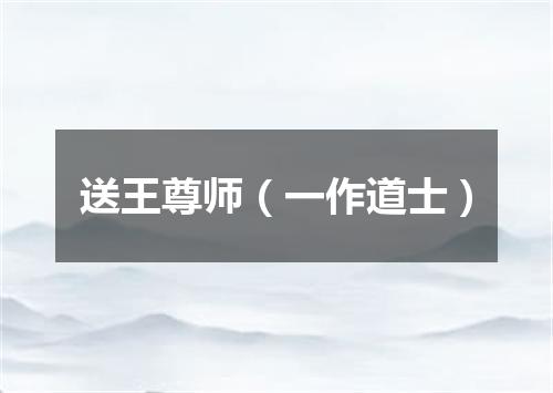送王尊师（一作道士）
