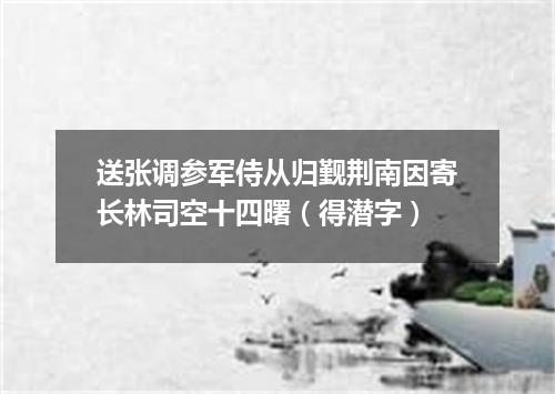 送张调参军侍从归觐荆南因寄长林司空十四曙（得潜字）