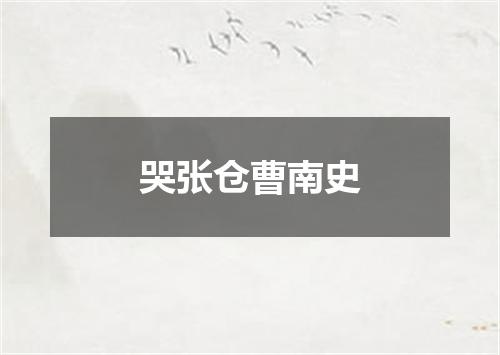 哭张仓曹南史