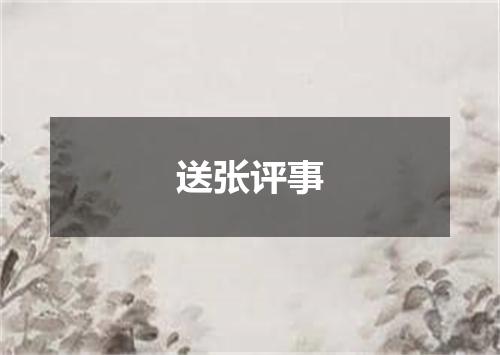 送张评事