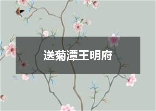 送菊潭王明府