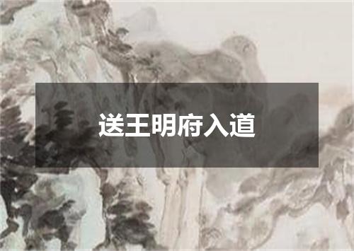 送王明府入道
