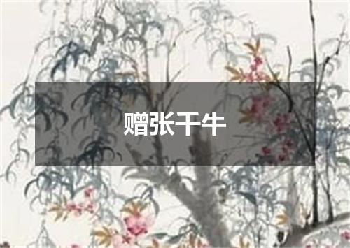 赠张千牛