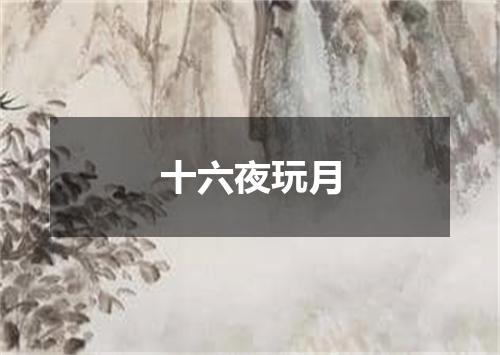 十六夜玩月