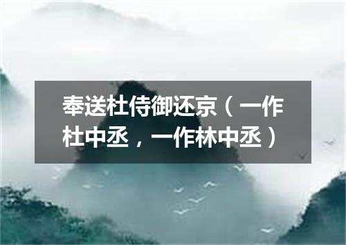 奉送杜侍御还京（一作杜中丞，一作林中丞）