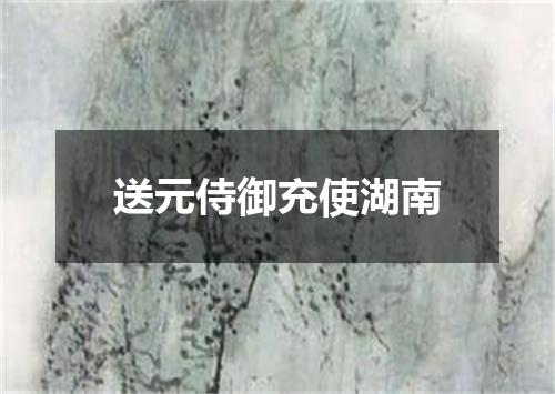 送元侍御充使湖南
