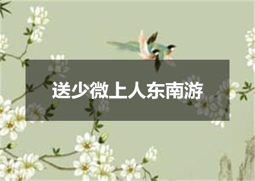 送少微上人东南游