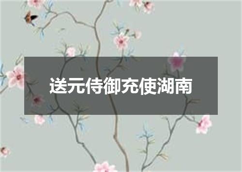 送元侍御充使湖南