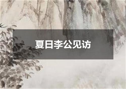夏日李公见访