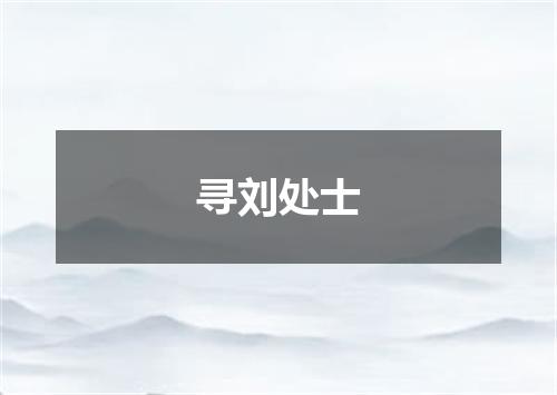 寻刘处士
