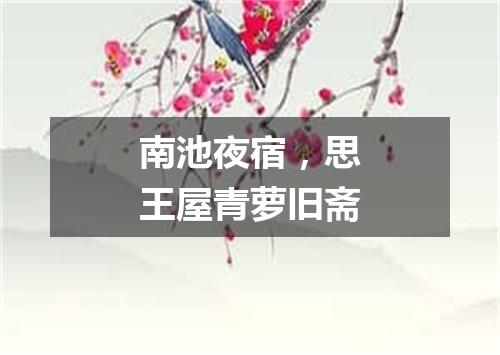 南池夜宿，思王屋青萝旧斋