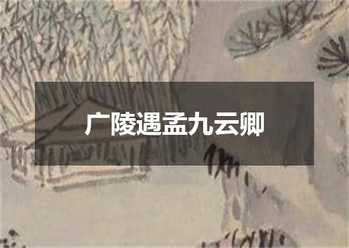 广陵遇孟九云卿