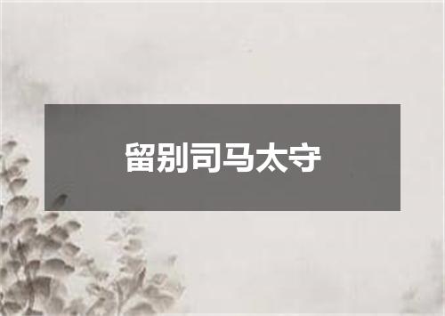 留别司马太守