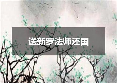 送新罗法师还国