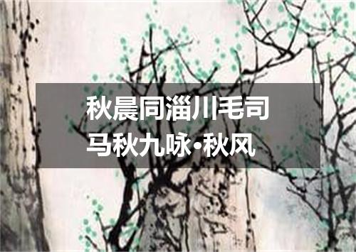 秋晨同淄川毛司马秋九咏·秋风