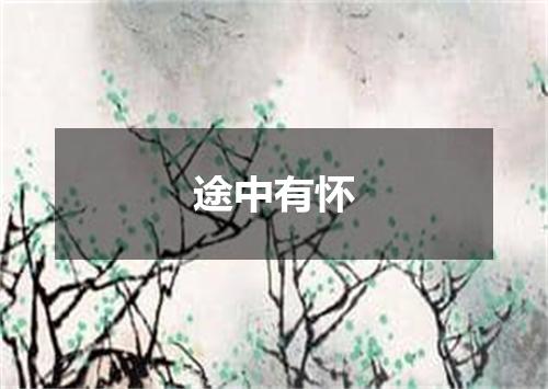 途中有怀