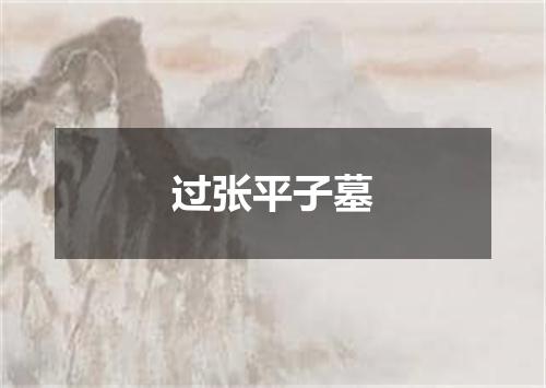 过张平子墓