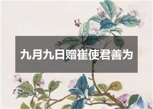 九月九日赠崔使君善为