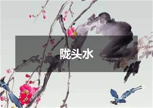 陇头水