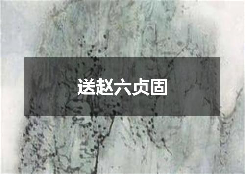 送赵六贞固