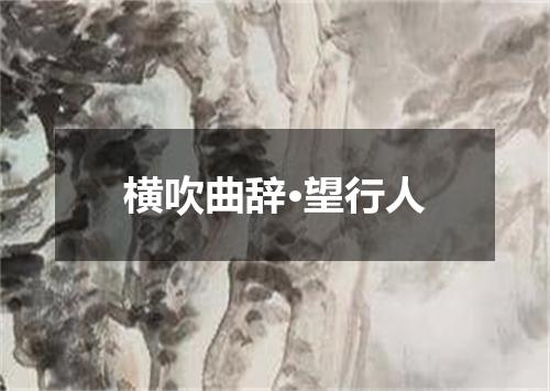 横吹曲辞·望行人