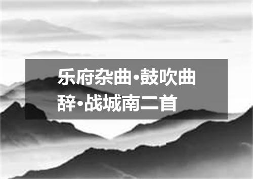 乐府杂曲·鼓吹曲辞·战城南二首