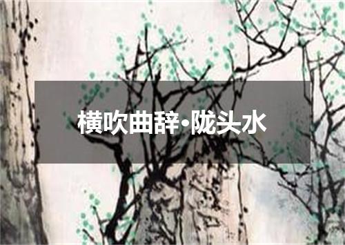 横吹曲辞·陇头水