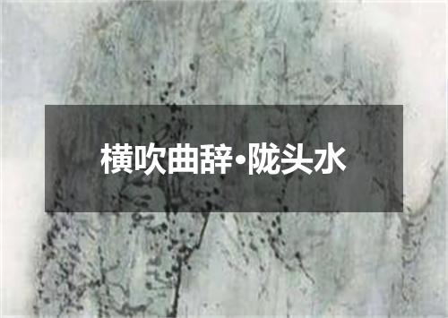 横吹曲辞·陇头水