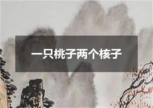 一只桃子两个核子