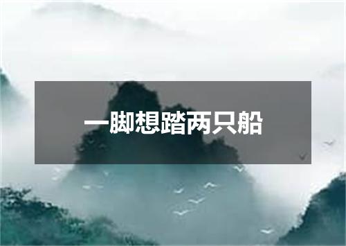 一脚想踏两只船