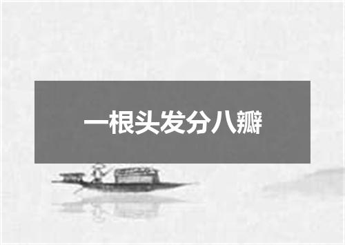 一根头发分八瓣