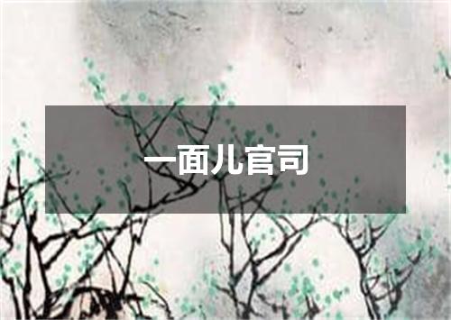 一面儿官司